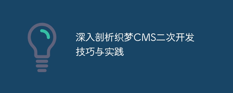 深入剖析织梦cms二次开发技巧与实践