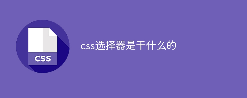 css选择器是干什么的