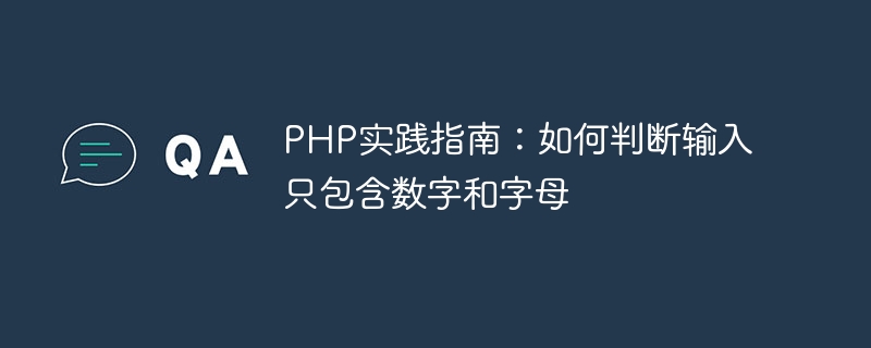 php实践指南：如何判断输入只包含数字和字母