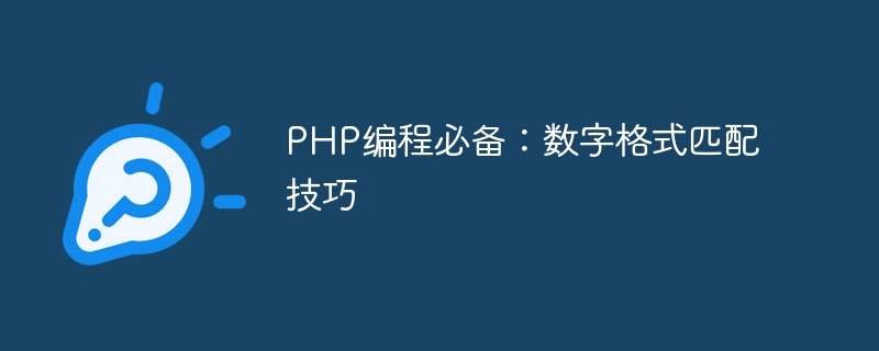 php编程必备：数字格式匹配技巧
